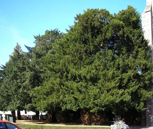 Monte Escalier 61 Installateur Monte Escalier La Lande-Patry