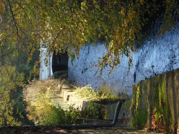 Monte Escalier 61 Installateur Monte Escalier Saint-Pierre-du-Regard